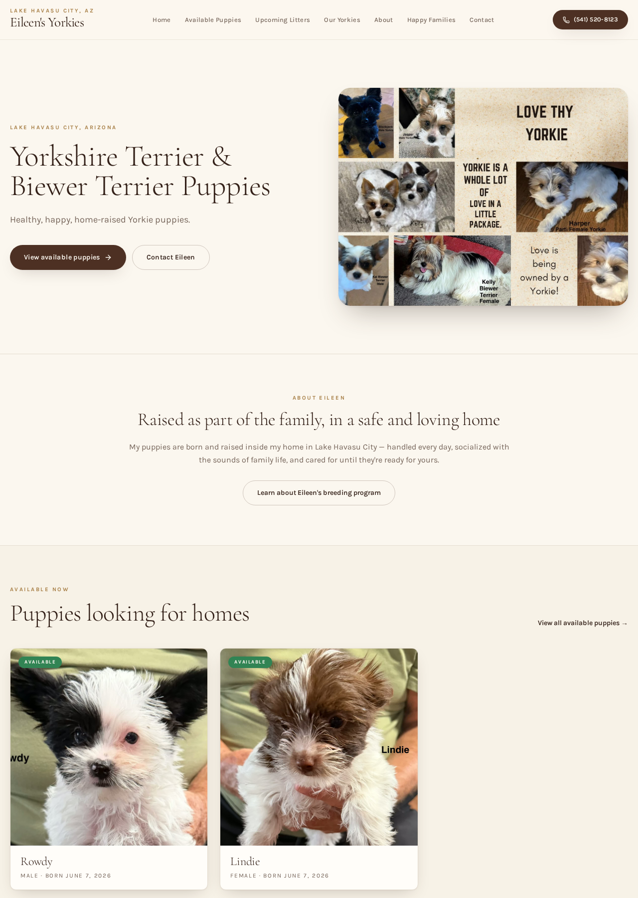 Eileen's Yorkies of Havasu website homepage